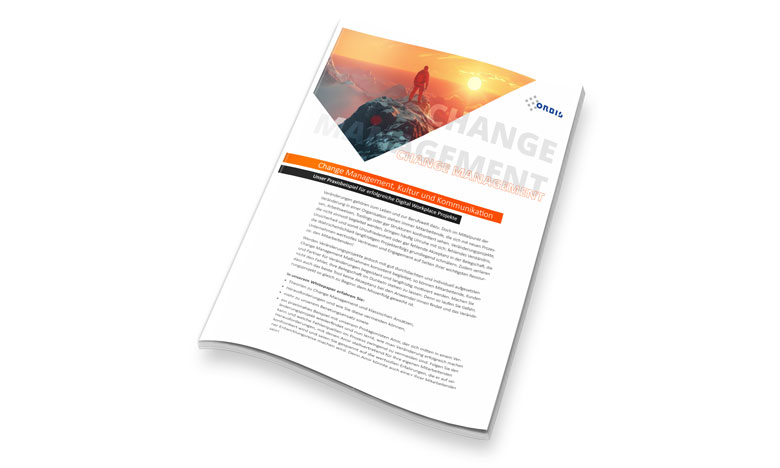 Erfahren Sie anhand von unserem Praxisbeispiel wie Ihr Digital Workplace Projekt zum vollen Erfolg wird Whitepaper Change Management, Kultur und Kommunikation