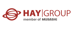 Logo der Hay Group, Member of Musashi Bad Sobernheim GmbH & Co. KG
