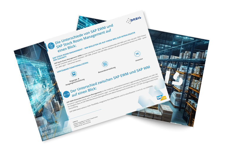 Der Unterschied zwischen SAP EWM, SAP WM und SAP Stock Room Management – welches wählen Sie? 